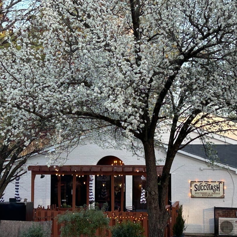Succotash Southern & Creole Kitchen exterior with a blooming white tree and illuminated patio.